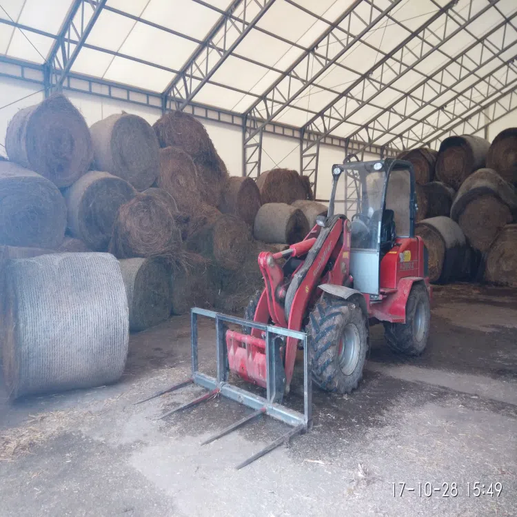 Forestry Waste Briquetting Machine